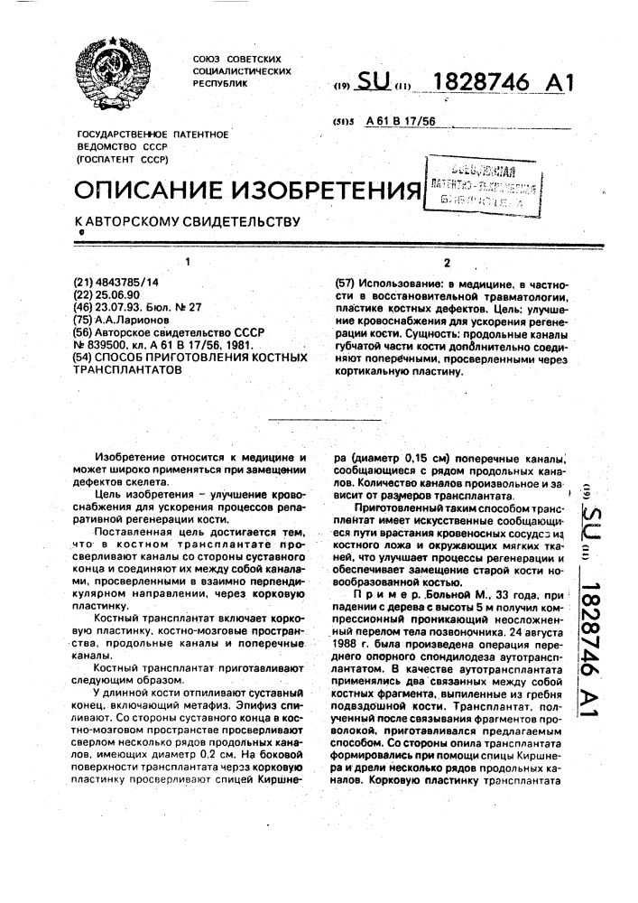 Способ приготовления костных трансплантатов (патент 1828746)