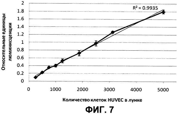 Наноантитело v93, связывающее vegf, и способ его получения, кодирующая v93 нуклеотидная последовательность и содержащий ее вектор, способ ингибирования пролиферации эндотелиальных клеток (патент 2395522)