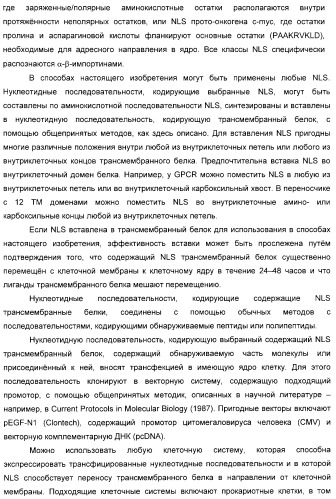 Способ идентификации соединений, взаимодействующих с трансмембранными белками (патент 2326166)