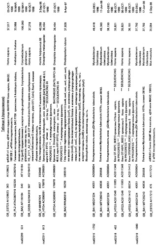 Гены corynebacterium glutamicum, кодирующие белки метаболических путей (патент 2306339)