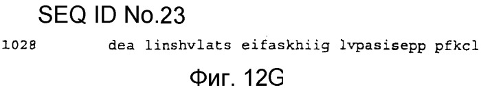 Применение рам (патент 2345785)