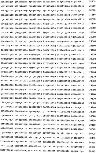 Бактериофаг, обладающий активностью против pseudomonas aeruginosa, белки бактериофага и способы их применения (патент 2580248)