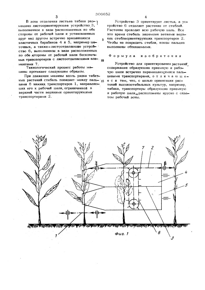 Устройство для ориентирования растений (патент 306652)