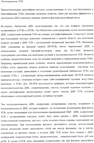 Экспонирование т-клеточных рецепторов (патент 2346004)