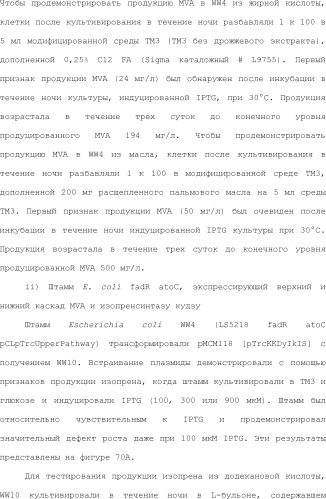 Полимеры изопрена из возобновляемых источников (патент 2505605)