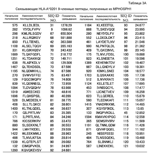 Пептидные вакцины против рака с экспрессией полипептидов mphosph1 или depdc1 (патент 2469044)