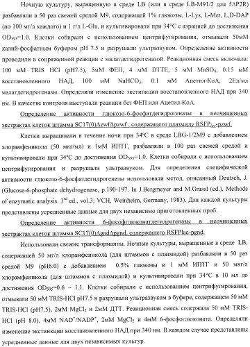 Бактерия, принадлежащая к роду pantoea, - продуцент l-аспартата или метаболита, являющегося производным l-аспартата, и способ получения l-аспартата или метаболита, являющегося производным l-аспартата (патент 2411289)