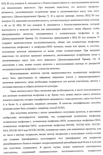 Способ получения фактора, связанного с контролем над потреблением пищи и/или массой тела, полипептид, обладающий активностью подавления потребления пищи и/или прибавления в весе, молекула нуклеиновой кислоты, кодирующая полипептид, способы и применение полипептида (патент 2418002)