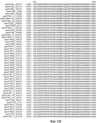 Мутантные антигены gas57 и антитела против gas57 (патент 2471497)