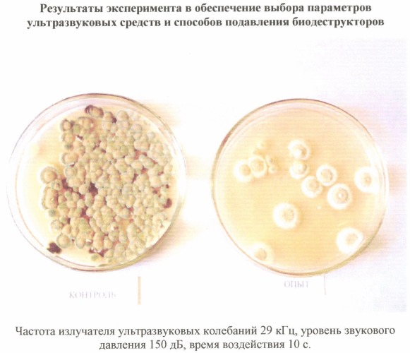 Способ разрушения микроорганизмов-биодеструкторов на поверхностях объектов в жилых отсеках космической станции (патент 2372942)