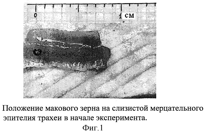 Способ получения отхаркивающего средства (патент 2316335)