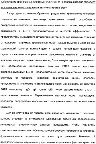 Человеческие моноклональные антитела к рецептору эпидермального фактора роста (egfr), способ их получения и их использование, гибридома, трансфектома, трансгенное животное, экспрессионный вектор (патент 2335507)