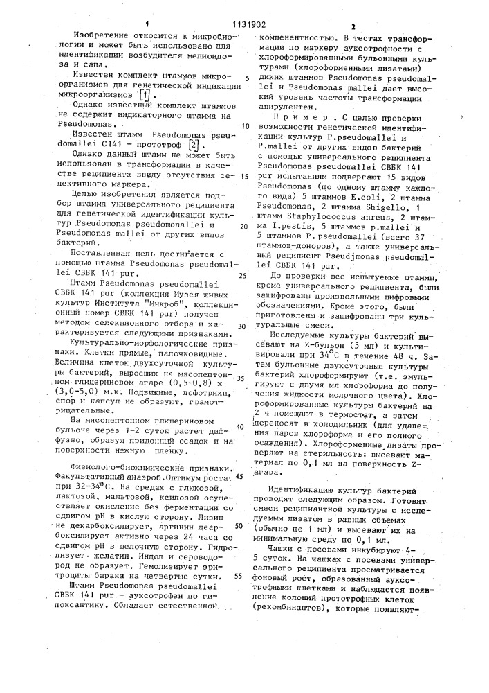 Штамм @ @ свбк 141 @ -универсальный реципиент для генетической идентификации культур @ @ @ @ (патент 1131902)