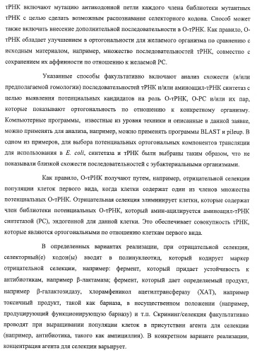 Система экспрессии компонентов ортогональной трансляции в эубактериальной клетке-хозяине (патент 2467069)