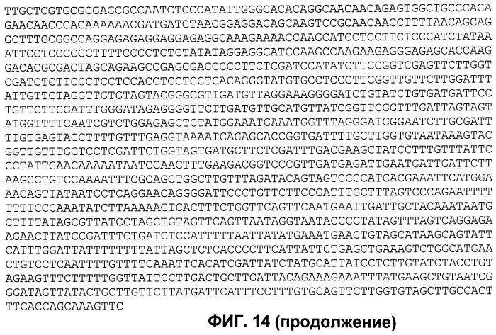 Растения, имеющие усиленные признаки, связанные с урожайностью, и способ их получения (патент 2503721)