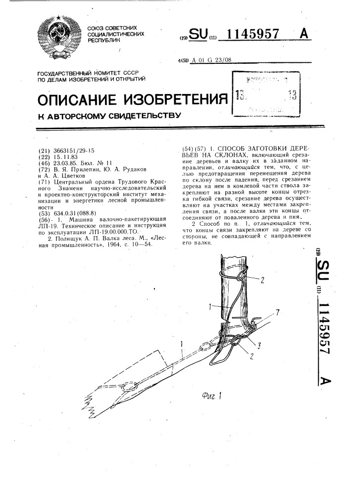 Способ заготовки деревьев на склонах (патент 1145957)