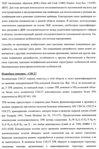 Растения, имеющие улучшенные характеристики роста, и способы их получения (патент 2463352)