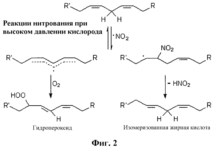 Применение нитрокарбоновых кислот для лечения, диагностики и профилактики агрессивных форм заживления (патент 2567049)