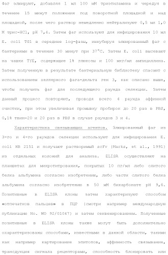 Слитые белки альбумина (патент 2369404)