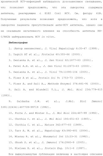 Антитела против вируса гепатита с (патент 2462475)