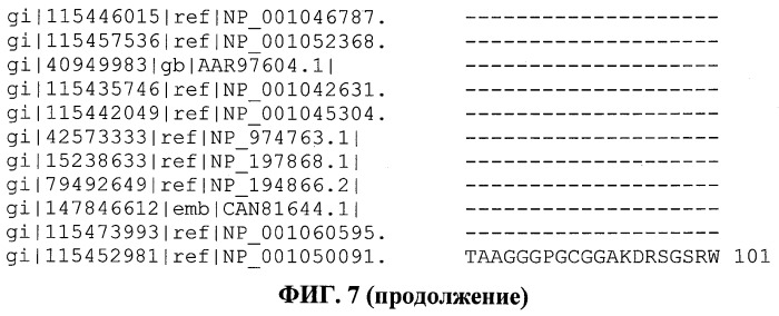 Растения, имеющие усиленные признаки, связанные с урожайностью, и способ их получения (патент 2503721)