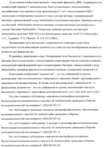 Способ придания бактерии, принадлежащей к роду methylophilus, ауксотрофности по l-аминокислоте, бактерия, принадлежащая к роду methylophilus, и способ продукции l-аминокислоты (патент 2395569)