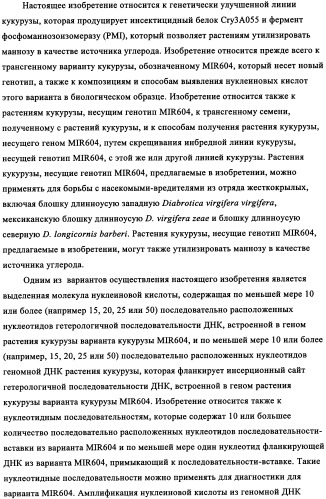 Вариант кукурузы mir604 (патент 2351122)