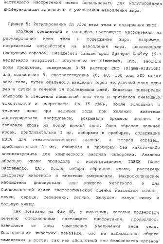 Регулирование содержания жира (патент 2397766)