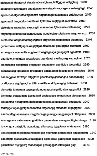 Днк, повышающая продуцирование белка, и ее применение (патент 2375450)
