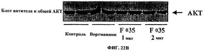 Тритерпеновые композиции и способы их применения (патент 2244547)