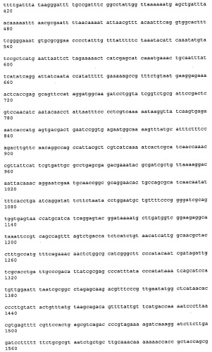 Антитела к рецептору конечных продуктов глубокого гликирования (rage) и их применения (патент 2518351)