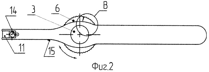 Устройство для чистки межзубных промежутков (патент 2410061)