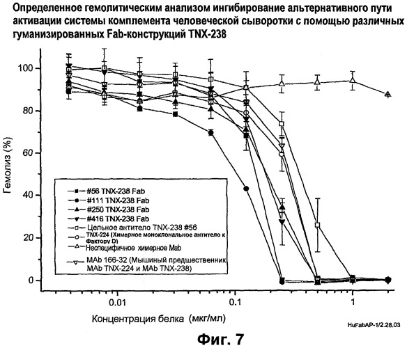 Гуманизированные антитела к фактору d и их применения (патент 2474589)