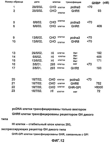 Слитый белок, ингибирующий рецепторную передачу сигнала гормона роста (варианты), способ его получения и очистки и фармацевтическая композиция на его основе (патент 2340628)