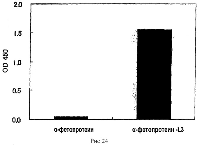 L-фукоза α1→6 специфичный лектин (патент 2524425)