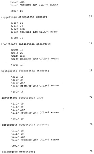 Нуклеиновые кислоты, кодирующие рецептор ctla-4 кошки, вектор, клетки-хозяева, вакцины, олигонуклеотиды, полипептиды ctla-4 кошки и способы индукции и подавления иммунного ответа у кошки (патент 2377302)