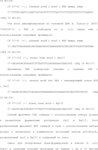 Полимеры изопрена из возобновляемых источников (патент 2505605)