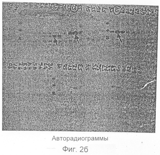 Ингибитор интерлейкина-1, способ его получения, молекула днк, кодирующая ингибитор интерлейкина-1 и его предшественник (патент 2286388)