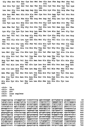 Ген новой сериновой протеазы, родственной dppiv (патент 2305133)