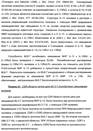 Il-13 связывающие агенты (патент 2434881)