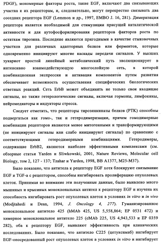 Биспецифические антитела к erb-b и их применение для лечения опухолей (патент 2349340)