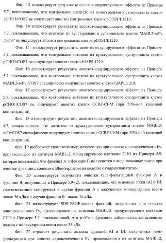 Днк, кодирующая модифицированное антитело или соединение с активностью агониста тро, способ их получения и животная клетка или микроорганизм, их продуцирующие (патент 2422528)