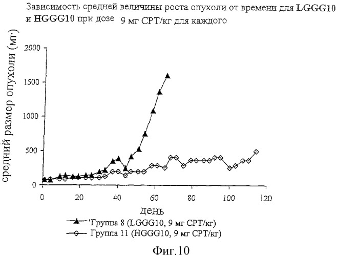 Полимеры на основе циклодекстрина для доставки терапевтических средств (патент 2332425)