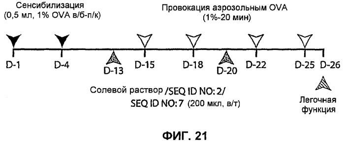Полумягкие иммуностимулирующие олигонуклеотиды с-класса (патент 2393223)