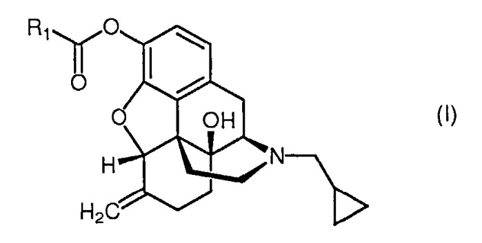 Диэфирные пролекарства налмефена (патент 2495041)