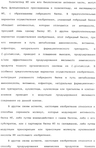 Гены corynebacterium glutamicum, кодирующие белки метаболических путей (патент 2306339)