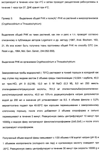 Новый ген элонгазы и способ получения полиненасыщенных кислот жирного ряда (патент 2311457)