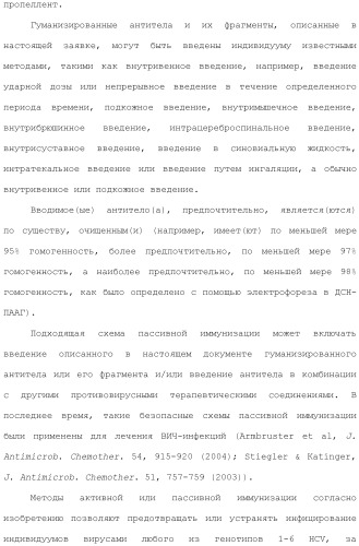 Антитела против вируса гепатита с (патент 2462475)