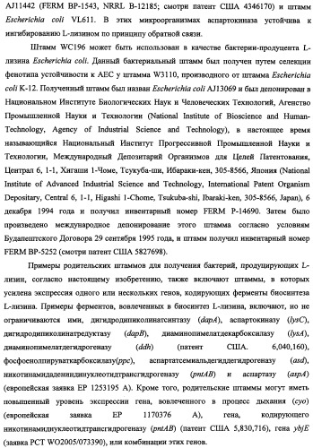 Способ получения l-треонина и l-аргинина с использованием бактерии, принадлежащей к роду escherichia, в которой инактивирован кластер генов yehabcde (патент 2337960)