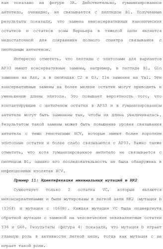 Антитела против вируса гепатита с (патент 2462475)